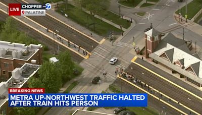 Metra UP-NW train hits pedestrian in Palatine; trains stopped in both directions