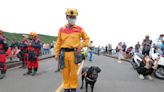 提升災害搜救能量 基隆消防局將成立搜救犬隊