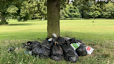 Calls for action to stop fly-tipping at beauty spot