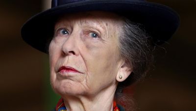 Princess Anne can’t remember ‘single thing’ about head injury