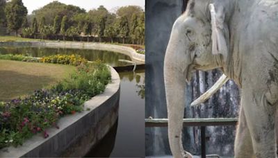 'Failed To Take Care Of Elephant Shankar' WAZA Global Body Suspends Delhi Zoo's Membership For 6 Months