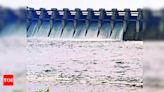 Push for Small Hydro Power Projects: CS Seeks Exemption | Shimla News - Times of India