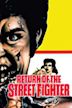 Sonny Chiba – Der unerbittliche Vollstrecker