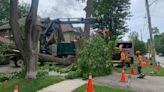 Rare weather event brings high winds, toppling trees and hydro wires