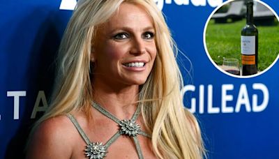 Qué dijo la bodega mendocina tras ver uno de sus vinos en el Instagram de Britney Spears | Economía