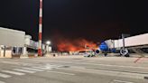 Raging wildfires close Italian airport as toxic heat engulfs Europe