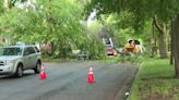 Homeowner recalls storm that caused damage, power outages in Kent Co.: 'Strongest storm that I have been in'