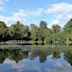 Keston Common