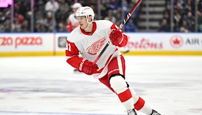 Bruins Should Target Former Red Wings Forward