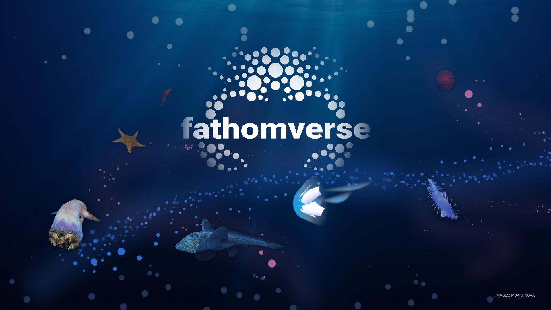 FathomVerse: Harnessing AI and Gaming to Guide Ocean Exploration