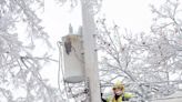 Forecasters: Lansing in the 'bullseye' of major ice storm Wednesday, Thursday