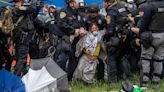 25 arrested at University of Virginia after police clash with pro-Palestinian protesters