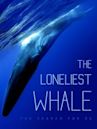 The Loneliest Whale: The Search for 52