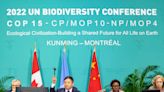 Almost 200 nations promise to protect 30 percent of the planet's land and oceans