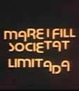 Mare i fill, societat limitada