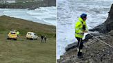 Dog dies after being cut off by tide as coastguard rescue owner