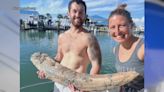 Scuba divers find mastodon tusk fossil that could be 1 million years old off coast of Florida