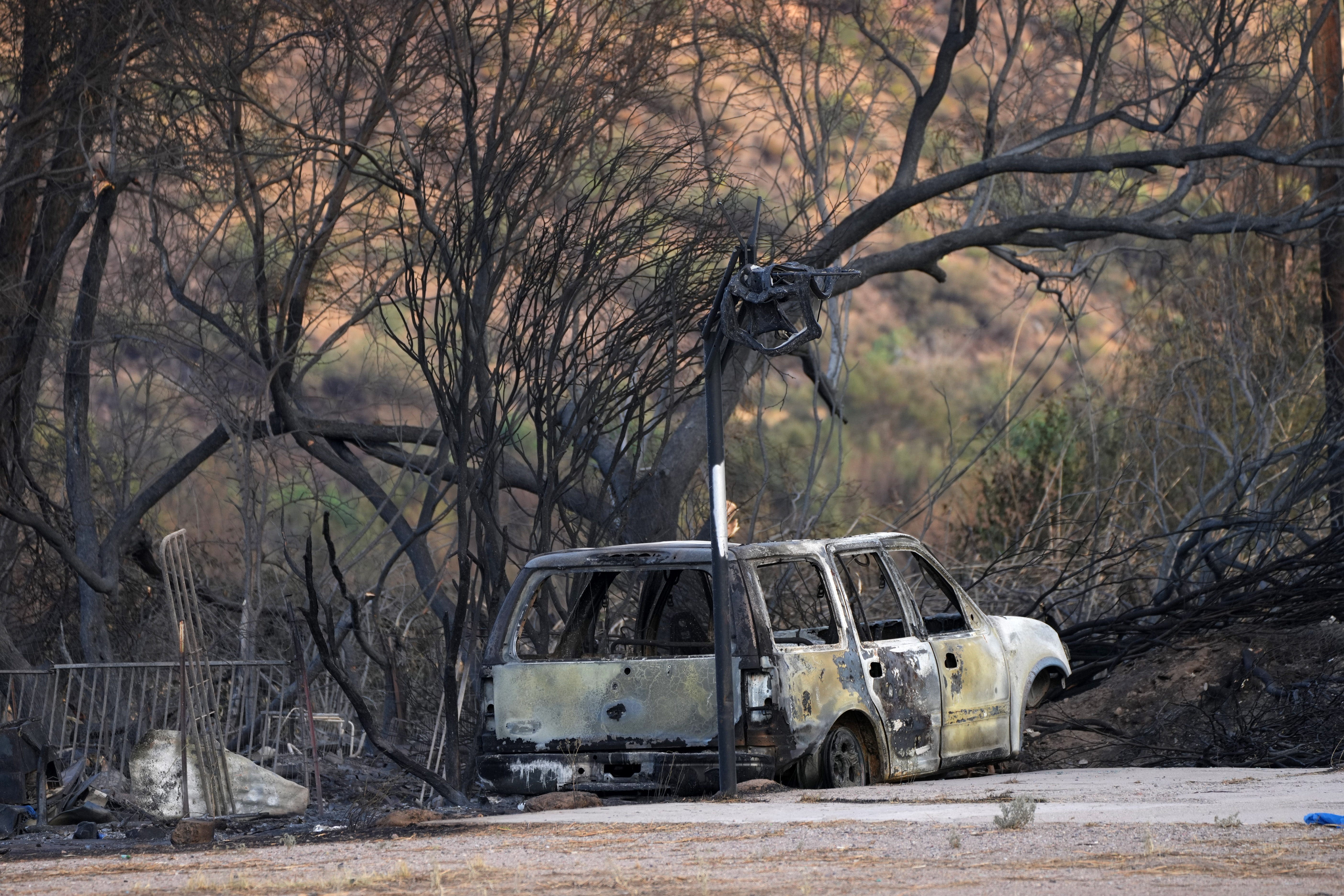 At least 20 animals sheltered from Watch Fire burning on San Carlos Reservation east of Globe