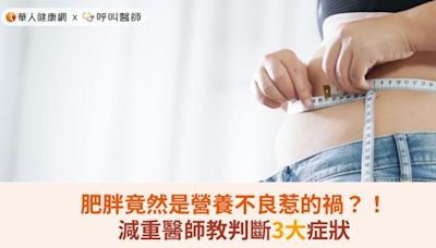 肥胖竟然是營養不良惹的禍？！減重醫師教判斷3大症狀 | 蕃新聞