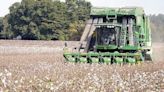 Partnership advances regenerative ag in cotton
