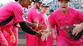 Heading to a Florence Flamingos game this summer? Here’s what to expect.