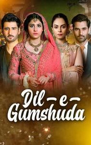 Dil-e-Gumshuda