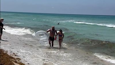Video shows GA couple’s close encounter with shark at Fla. beach days after shark attacks injure 3