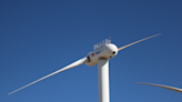 Scientists develop new turbines that bend in strong winds like palm trees