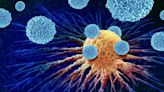 Nanoparticles Boost Immune System to Fight Cancer