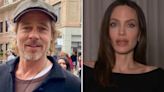 'Está usando como punição': entenda por que vinícola está no centro de disputa entre Brad Pitt e Angelina Jolie