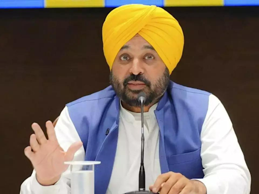 Punjab CM Bhagwant Mann to boycott NITI Aayog meeting after INDIA bloc decision to protest against Budget | Chandigarh News - Times of India