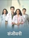 Sanjivani (2019 TV series)