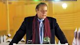 Pak Army Officers Went To UK To Convince Nawaz Sharif To Return: Son-In-Law