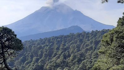 Parque Ecoturístico Apatlaco, lugar donde atendieron a 60 niños