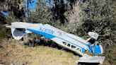 NTSB: Plane that crash-landed along I-95 in Flagler County ran out of fuel