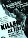 Killer at Large (1936 film)