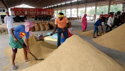 UP paddy reaches Karnal market, low prices disappoint farmers