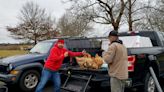 Tiverton rescue saves reality-show chickens from possible trip to slaughterhouse