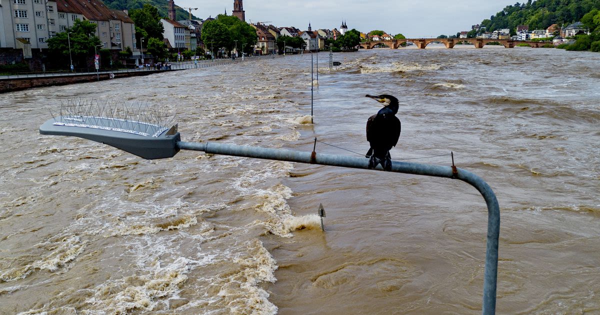 4 people have died in floods in southern Germany. The situation remains tense