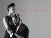 Devil in the Detail (film)