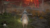 Le meilleur mod d’Elden Ring met des capybaras partout