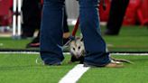 An opossum crashed a college football game in Texas and became a viral star