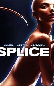 Splice