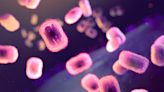 Mpox: EUA alertam para o ressurgimento de uma versão mais mortal da infecção
