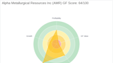 Alpha Metallurgical Resources Inc (AMR): A Deep Dive into Its Performance Metrics