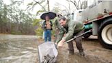 Trout stocking reduced as hatchery gets rebuild