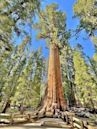 Sequoia National Park