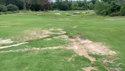 NCAA women's golf regional sites marked by 'rough, rough conditions,' goose poop