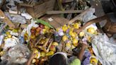 G20 no Brasil: Aliança Global contra a Fome e a Pobreza será lançada hoje; veja as propostas