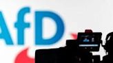 German court defeat deals fresh blow to far-right AfD